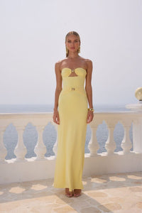 Kleo Maxi Dress by Runaway