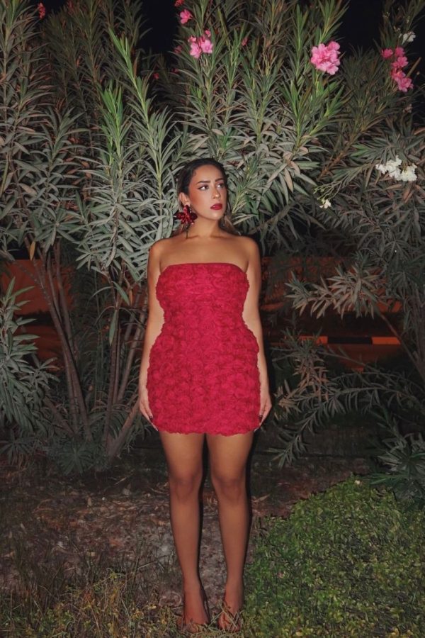 Rosaline Mini Dress Cherry by Runaway