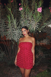 Rosaline Mini Dress Cherry by Runaway