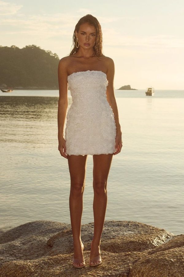 Rosaline Mini Dress by Runaway