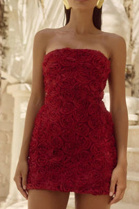 Rosaline Mini Dress Cherry by Runaway