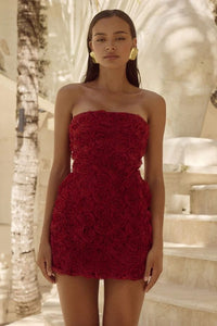 Rosaline Mini Dress Cherry by Runaway
